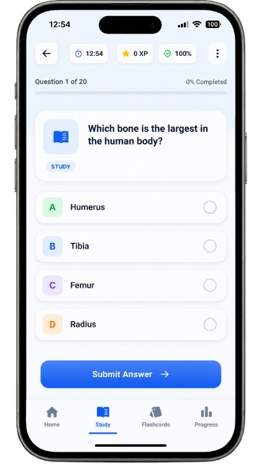 Social Studying AI study quiz screen with progress, options, and bottom navigation